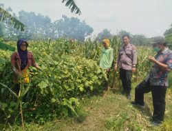 Dukung Ketahanan Pangan, Polsek Baron Pantau Pemanfaatan Lahan Pekarangan