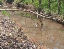 Segera ! KPK Selidiki Pekerjaan Swakelola Jaringan Irigasi di Kecamatan Maliku Baru TA 2025 Oleh BWS Kalimantan II Yang Diduga Tidak Sesuai Aturan,Ini Tanggapan Firmelin ST.,M.Si