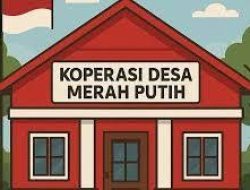 Wacana Dana Desa Dijadikan Jaminan Koperasi Merah Putih? Peluang Inovatif atau Ancaman Pembangunan Desa?