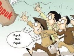 Petani Desa Jambi Keluhkan Kekosongan  Pupuk Subsidi