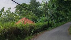 PLN Blega Tidak Becus, Kebel Bertegangan Tinggi Sudah kelupas Dibiarkan Saja