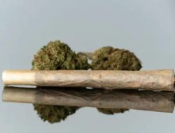 Edarkan Tembakau Sintesis, 2 Orang Remaja Diamankan Polsek Grogol Petamburan