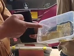 MBG di Pamekasan Bermasalah: PC PMII Minta Perketat Pengawasan dan Evaluasi Menyeluruh