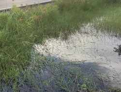 Aset Negara Dirusak, Jaringan Irigasi di Desa Lunuk Ramba Ditutup Mati Dalam Kegiatan Peningkatan Jalan, Dinas PUPR Kapuas dan BWSK II Diduga Saling Lempar Tanggung Jawab, APH Jangan Bungkam.