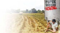 Pupuk Diakui Melimpah, Petani Justru Mengaku Tak Kebagian: Pengelolaan Poktan Margone Mulyo Dipertanyakan