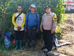 Jagung Mulai Bertongkol, Polisi dan Petani Bandungrejosari Optimistis Panen Hingga 30 Ton