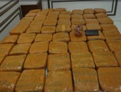Polda Metro Jaya Bongkar Peredaran 62,5 Kg Ganja di Petamburan Dua Pria Diringkus