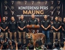 MAUNG Sorot “Macan Ompong” — Kapolri Baru Diminta Tegur Kapolda Kalbar dan Pastikan Penegakan Hukum di Kalbar!