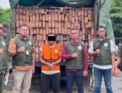 Kementerian Kehutanan Kembangkan Penyidikan Kayu Ilegal di Sanggau, Telusuri Dugaan Jaringan Peredaran hingga Kubu Raya dan Ketapang