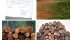 Laporan Investigasi Dan Tuntutan Masyarakat,Terhadap Maraknya ilegal loging dan Sawmil Ilegal
